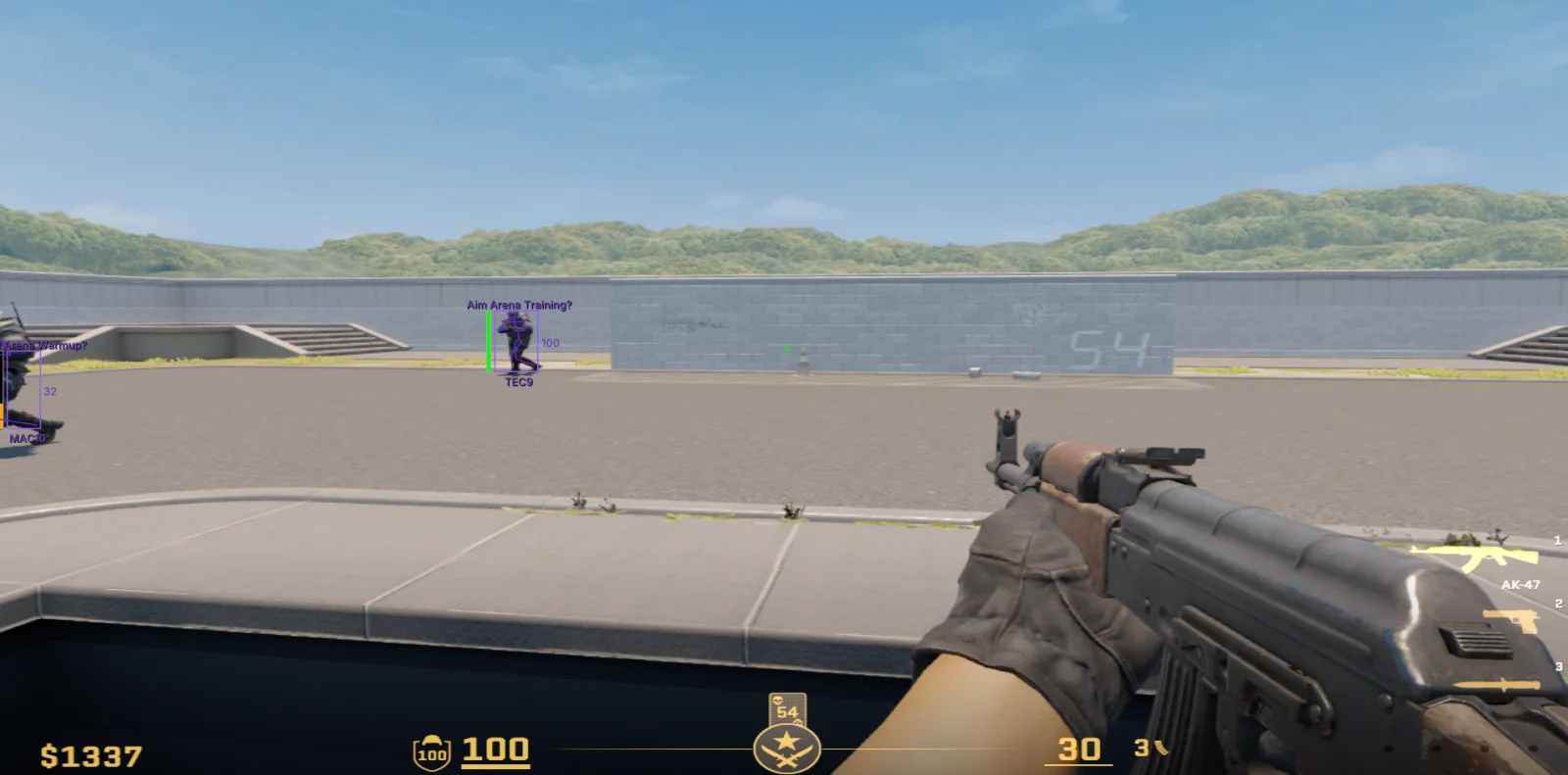 Two bots with purple box ESP, health bar, name and weapon labels